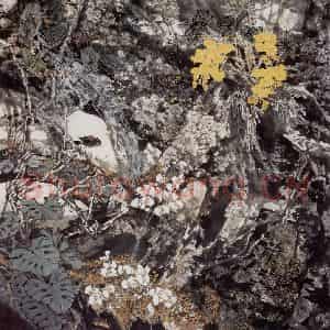 王晋元《春之辉》国画花鸟写意作品图片鉴赏