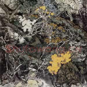 王晋元《雨林风采》国画花鸟写意作品图片鉴赏