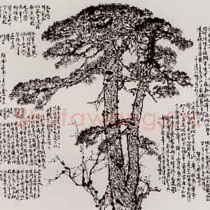 1962年 刘宝纯《泰山青松》国画山水作品图片鉴赏