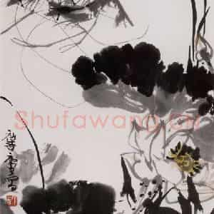 1981年 许麟庐《虾荷图》国画花鸟写意作品图片鉴赏