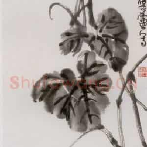 1956年 许麟庐《冬瓜八哥》国画花鸟写意作品图片鉴赏