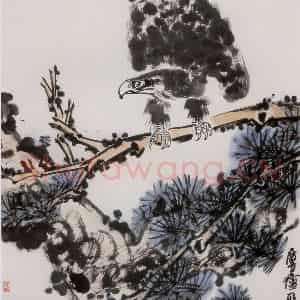 1961年 许麟庐《松鹰图》国画花鸟写意作品图片鉴赏