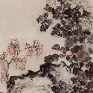 60年代初 郭怡孮《仿石道人菊石图》国画花鸟作品图片鉴赏