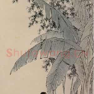 近现代 陈少梅《蕉下听琴》国画综合作品图片鉴赏