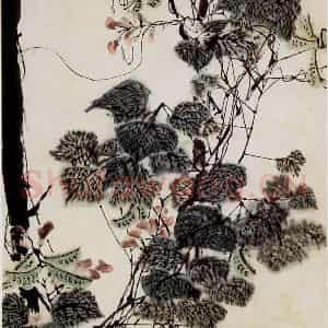 1961年 石鲁《豆角花》国画花鸟写意作品图片鉴赏