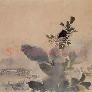 1940年 汪慎生《临孙隆花鸟册页》国画花鸟写意作品图片鉴赏