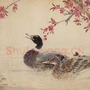 1961年 汪慎生《桃花双鸭》国画花鸟写意作品图片鉴赏