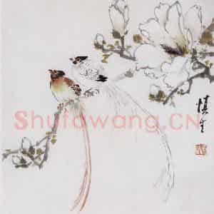 60年代 汪慎生《玉兰绶带》国画花鸟写意作品图片鉴赏