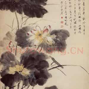 60年代 汪慎生《荷花》国画花鸟写意作品图片鉴赏