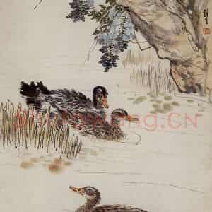 60年代 汪慎生《紫藤鸭子》国画花鸟兼工帯写作品图片鉴赏