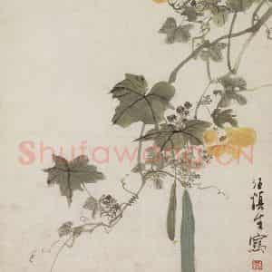 40年代 汪慎生《丝瓜》国画花鸟工笔作品图片鉴赏