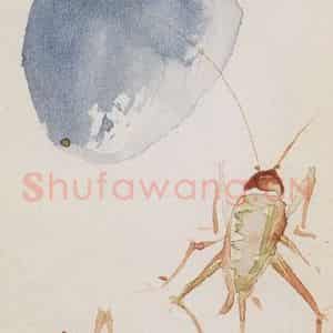 1956年 汪慎生《花鸟草虫书签》国画花鸟写意作品图片鉴赏