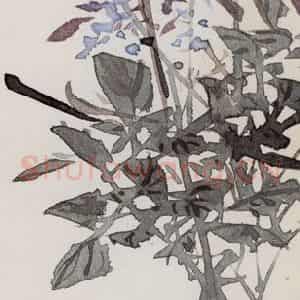 1956年 汪慎生《花鸟草虫书签》国画花鸟写意作品图片鉴赏