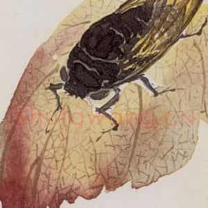 1956年 汪慎生《花鸟草虫书签》国画花鸟写意作品图片鉴赏