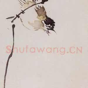 1956年 汪慎生《花鸟草虫书签》国画花鸟写意作品图片鉴赏