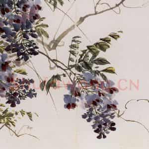 1957年 汪慎生《花鸟册页》国画花鸟写意作品图片鉴赏