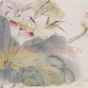 1957年 汪慎生《花鸟册页》国画花鸟工笔作品图片鉴赏