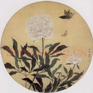 50年代 汪慎生《芍药蝴蝶》国画花鸟工笔作品图片鉴赏