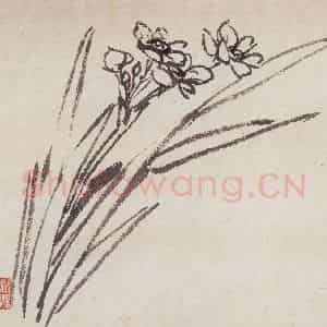 50年代 汪慎生《水仙》国画花鸟写意作品图片鉴赏