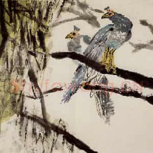 1972年 朱屺瞻《花鸟册》国画花鸟作品图片鉴赏