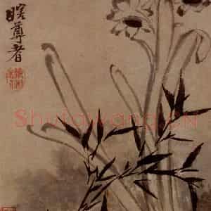 明末清初 石涛《花卉图册》国画花鸟作品图片鉴赏