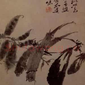 明末清初 石涛《花卉图册》国画花鸟作品图片鉴赏