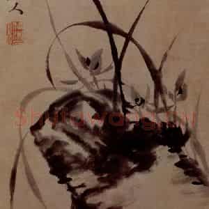 明末清初 石涛《花卉图册》国画花鸟作品图片鉴赏
