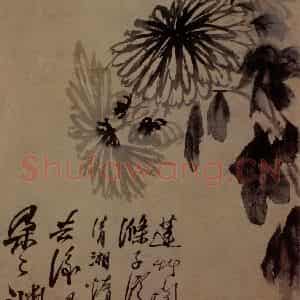 明末清初 石涛《花卉图册》国画花鸟作品图片鉴赏