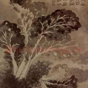 明末清初 石涛《山水花卉8开》国画花鸟作品图片鉴赏