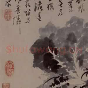 1694年 石涛《花卉12开》国画花鸟作品图片鉴赏