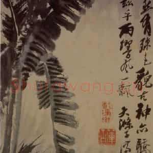 1694年 石涛《花卉12开》国画花鸟作品图片鉴赏