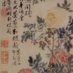 1694年 石涛《花卉12开》国画花鸟作品图片鉴赏