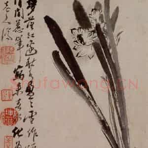 1694年 石涛《花卉12开》国画花鸟作品图片鉴赏