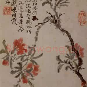 1694年 石涛《花卉12开》国画花鸟作品图片鉴赏