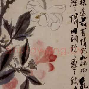 1694年 石涛《花卉12开》国画花鸟作品图片鉴赏