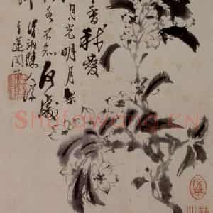 1694年 石涛《花卉12开》国画花鸟作品图片鉴赏