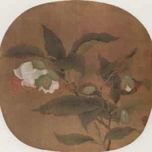 南宋《白茶花》国画花鸟作品图片鉴赏