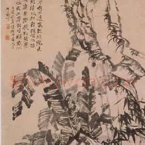 清代 石涛《蕉菊竹石图轴》国画山水作品图片鉴赏
