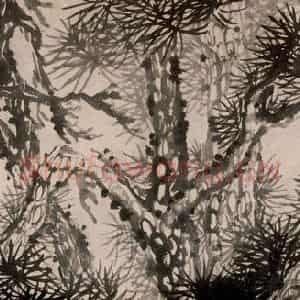 清代 石涛《芝松图卷》国画花鸟作品图片鉴赏