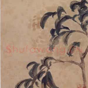 清代 石涛《花卉册》国画花鸟作品图片鉴赏