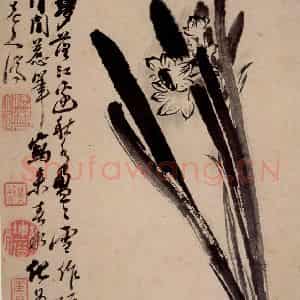 清代 石涛《花卉册》国画花鸟作品图片鉴赏