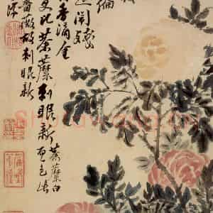 清代 石涛《花卉册》国画花鸟作品图片鉴赏