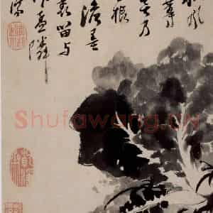清代 石涛《花卉册》国画花鸟作品图片鉴赏