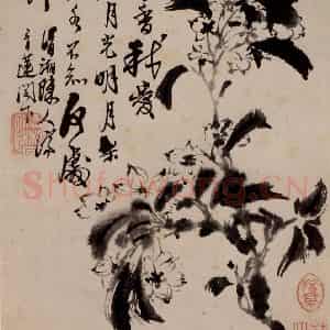 清代 石涛《花卉册》国画花鸟作品图片鉴赏