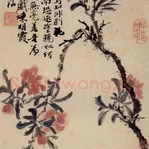 清代 石涛《花卉册》国画花鸟作品图片鉴赏
