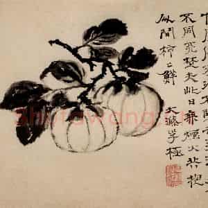 清代 石涛《蔬果册》国画花鸟作品图片鉴赏