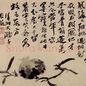 清代 石涛《蔬果册》国画花鸟作品图片鉴赏