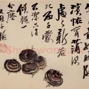 清代 石涛《蔬果册》国画花鸟作品图片鉴赏