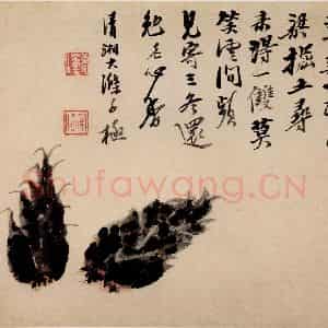 清代 石涛《蔬果册》国画花鸟作品图片鉴赏