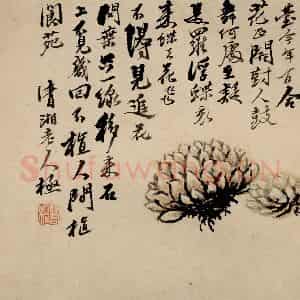 清代 石涛《蔬果册》国画花鸟作品图片鉴赏